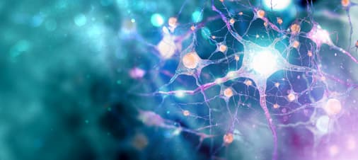 /werkgevers/kenniscentrum/neurodiversiteit-op-de-werkplek